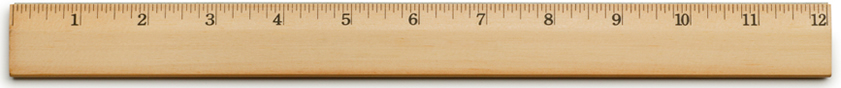 Team Development Scale